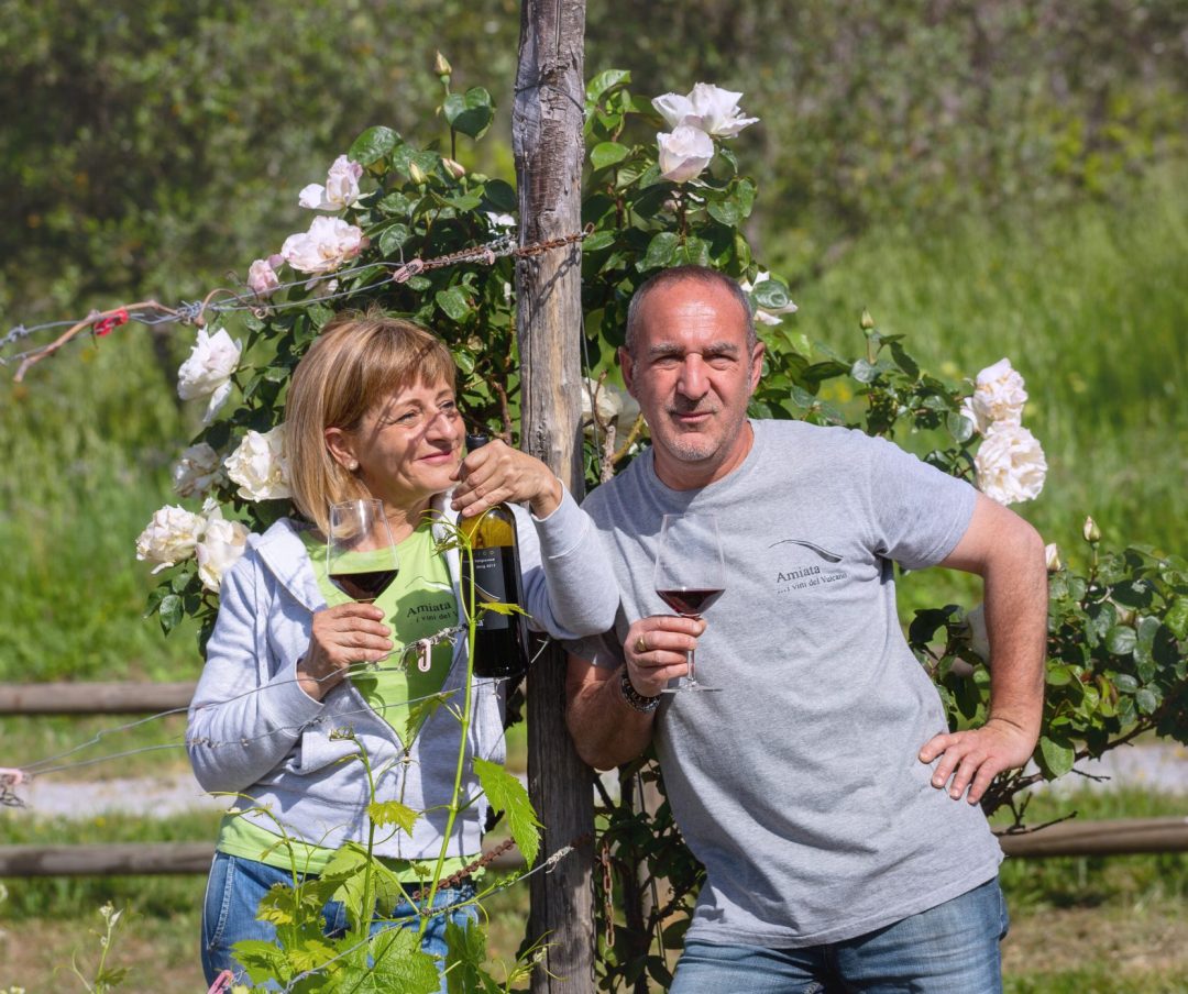 Amiata Wines of the Volcano in Generation Sangiovese